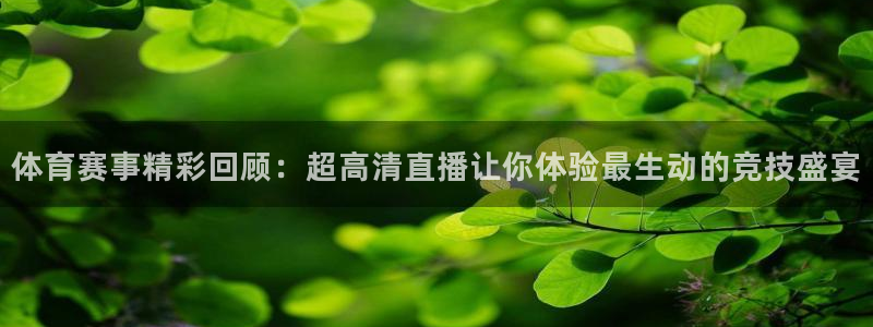新球体育比分网：体育赛事精彩回顾：超高清直播让你体验最生动的竞技盛宴