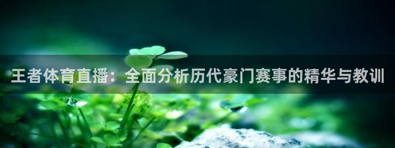 新球网直播：王者体育直播：全面分析历代豪门赛事的精华与教训