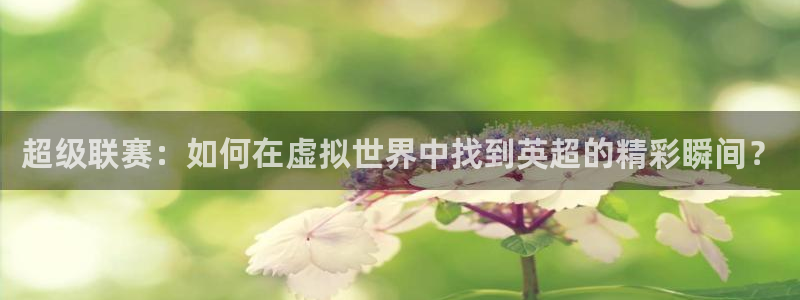 新球直播：超级联赛：如何在虚拟世界中找到英超的精彩瞬间？