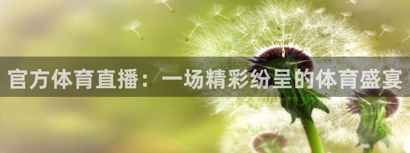 新球体育比分网：官方体育直播：一场精彩纷呈的体育盛宴