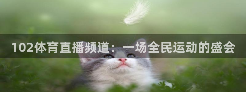 新球网直播：102体育直播频道：一场全民运动的盛会