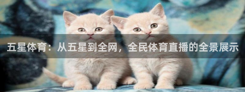 新球体育直播：五星体育：从五星到全网，全民体育直播的全景展示