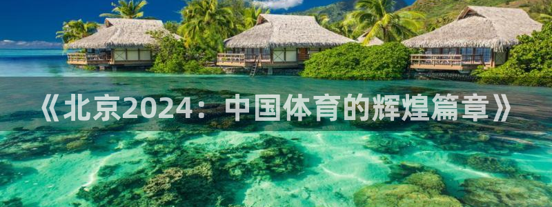 新球体育足球比分：《北京2024：中国体育的辉煌篇章》