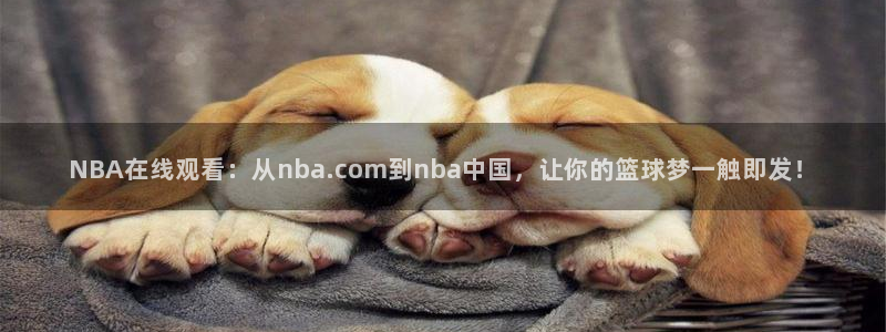 新球足球直播：NBA在线观看：从nba.com到nba中国，让你的篮球梦一触即发！