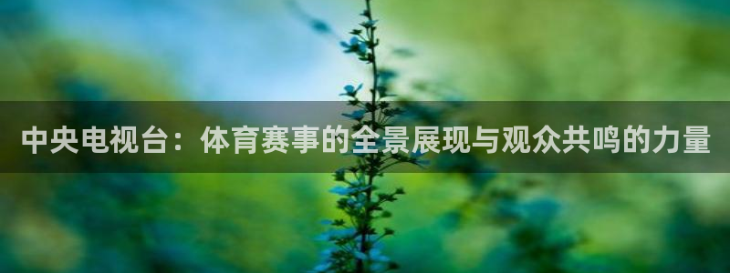 新球网直播：中央电视台：体育赛事的全景展现与观众共鸣的力量