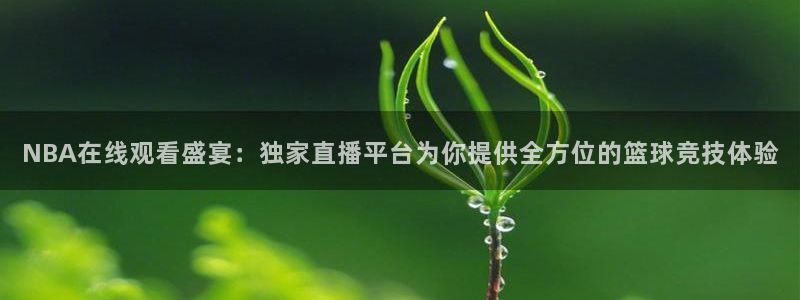 新球：NBA在线观看盛宴：独家直播平台为你提供全方位的篮球竞技体验