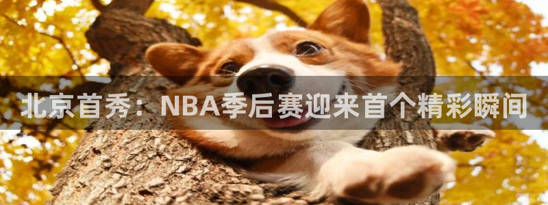 新球体育app：北京首秀：NBA季后赛迎来首个精彩瞬间